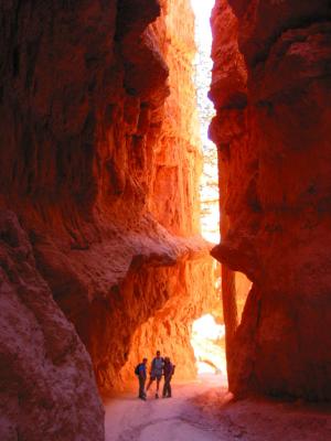 Wall Street on the Navajo Loop Trail