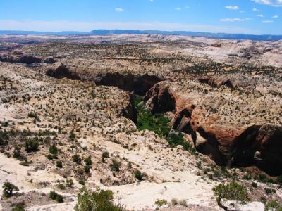 View from above the Calf Creek Falls canyon