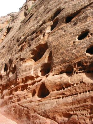 Water pockets on the canyon walls