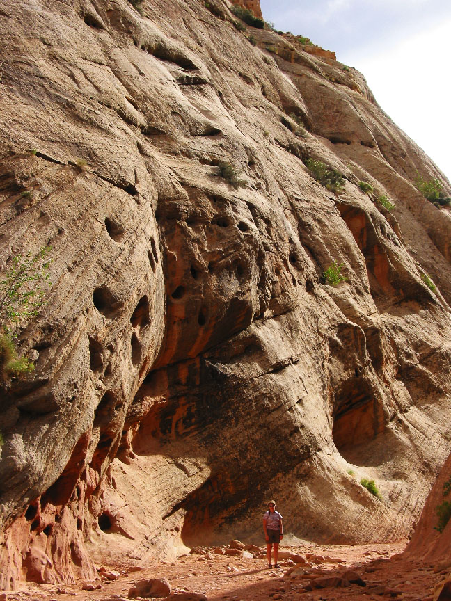Carol in the canyon