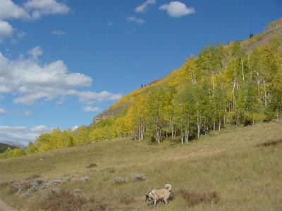 DSC00008 (Medium).JPG