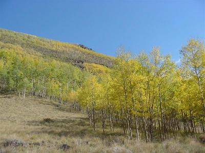 DSC00011 (Medium).JPG