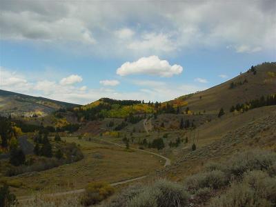 DSC00029 (Medium).JPG