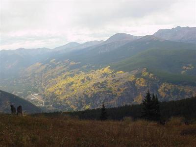 DSC00030 (Medium).JPG