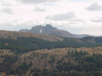 DSC00037 (Medium).JPG