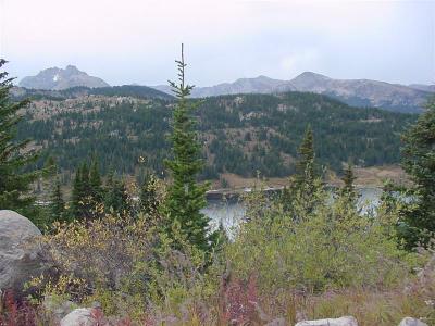DSC00040 (Medium).JPG