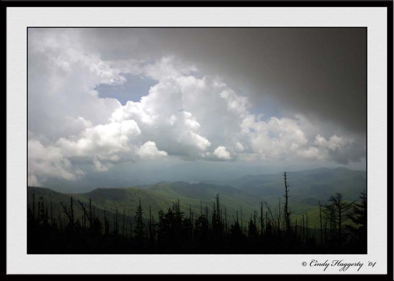 Smokies Series 403