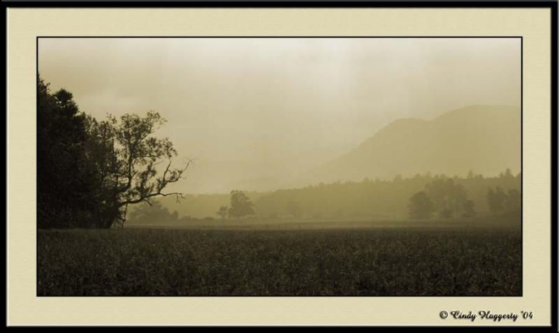 Smoky Mountain Series 512