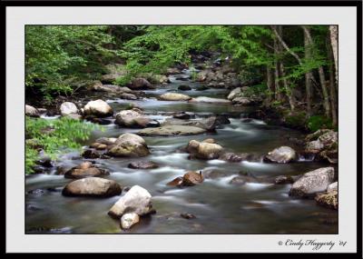 Smokies Series 412