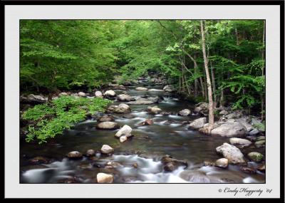 Smokies Series 413