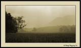 Smoky Mountain Series 512
