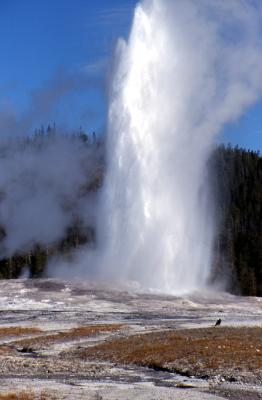 yeah that geyser.jpg