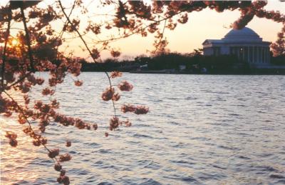 sunrise jefferson.jpg