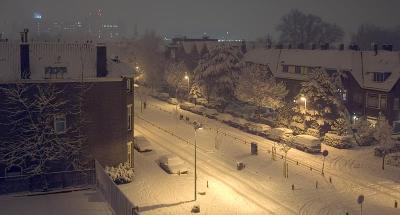 DSC_1006.jpg