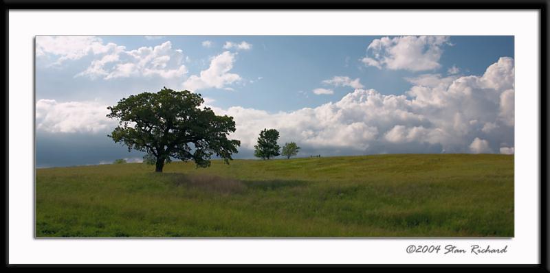 Open prairie