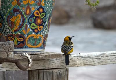 CRW_0046.jpg