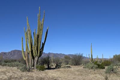 CRW_0080.jpg