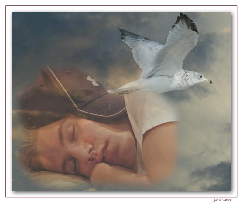 <b>2nd</b><br>Only Dreamers Can Teach Us How To Soar<br><font size=1>Anne-Marie Pierce<br>Fremiet</font>