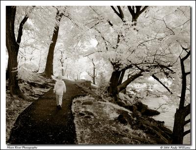 6th Place: Into the dream by Andy