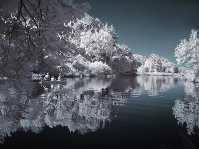 6th Place: Tranquil Waters by joandaniel