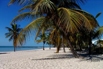Paradise by Pete W