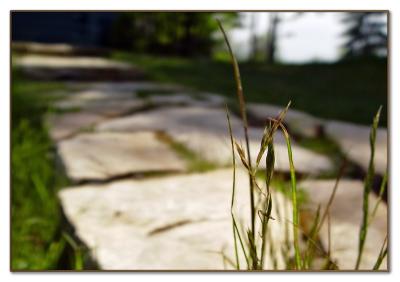 The old way*by Stphane Bouchard