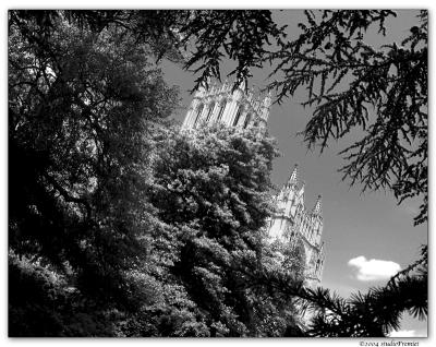 Washington National Cathedral  Fremiet
