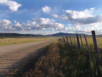 Lonely Road at Dawn by tcd