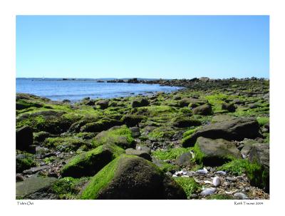 Tide's Out by Keith T.*