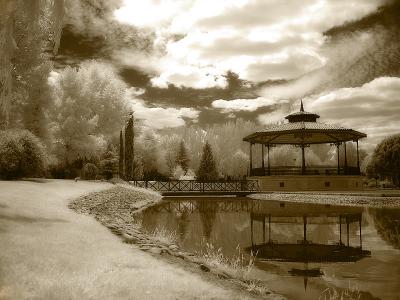 My Home Town Gardens* by JesusV