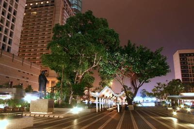 Nighty Tree by Discobay