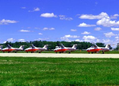 Snow Birds   by Tcom