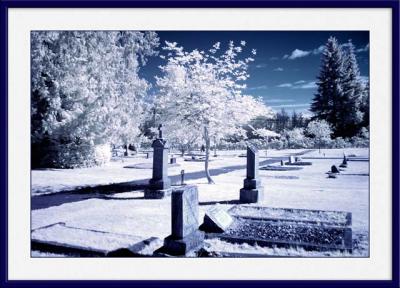 The CemeteryBy Judy Sinclair