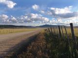 Lonely Road at Dawn by tcd