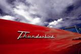 <b>Thunderbird</b><br><font size=2> T. Rotkiewicz</font>