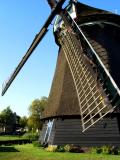 <b>10th place (tie)</b><br>Spread my wings - wide enough?<br>by Adrian van Ammers