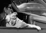 <b>3rd place</b><br>Only in LA   by Susan B
