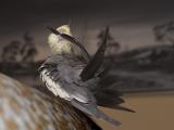 <b>7th (tie)</b><br>It Came From Outer Space<br>by Mike Fitzgerald