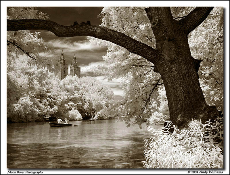 <b>1st Place: the lovers by Andy </b>