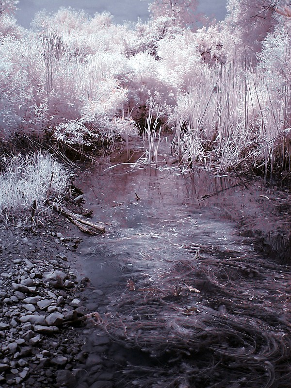 <B>8th Place: Three Elements by Lou Gonzalez</b>