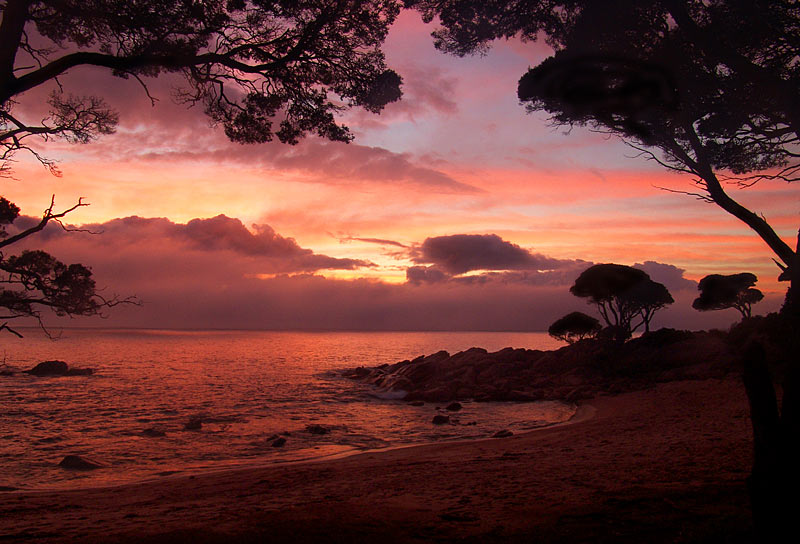 <b>3rd place<br>Dawn*</b><br><font size=2> by theVride</font>
