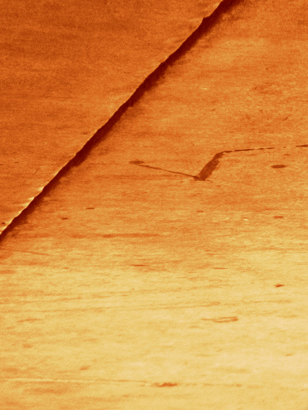 <b>Sidewalk</b><br><font size=1>by JoseNoway</font>