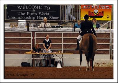 Pinto_World_DSC_2400.jpg