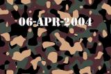 06-Apr-2004