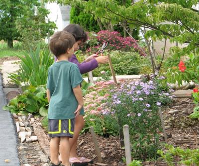 Hmmm which flower can we pick?
