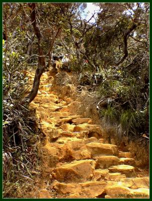 Climbing Mt Kinabalu