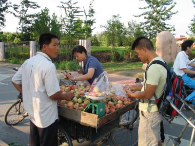 Peach Cart