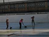 Cleaning the Pool