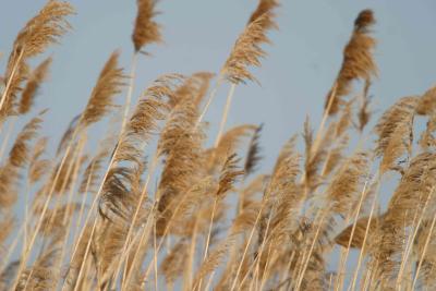 CRW_1623.jpg