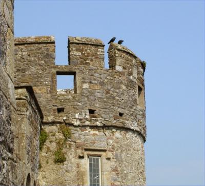 Castle turret at Cahir